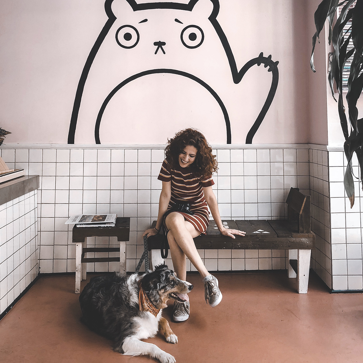 Pet Shop, Pet